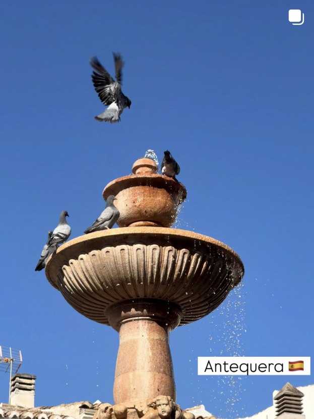 Pigeons on a fountain, Antequera